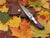 Damascus Drop Style Folding Knife - Dark Purple Dyed | Jager Knives